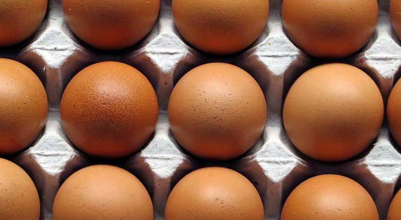 Lahko jajca hraniš na sobni temperaturi ali morajo biti v hladilniku?