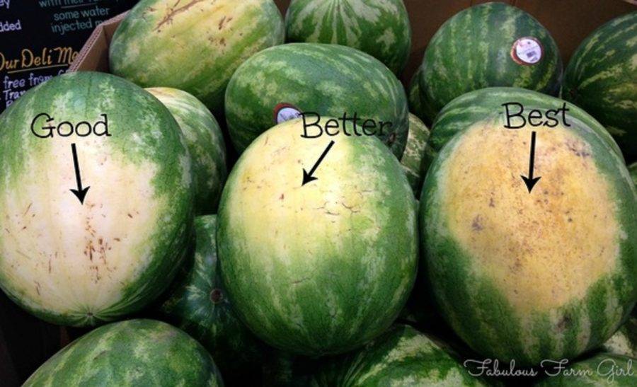 5 nasvetov, kako izbrati najboljšo lubenico