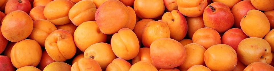 Top 10 sadežev z najmanj sladkorja