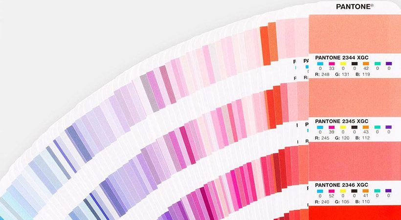 Barvni inštitut Pantone razkril barvo leta za 2019