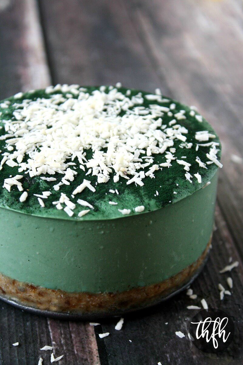 Presno in vegansko: Cheesecake torta s spirulino