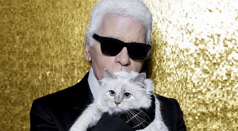 Poglej, koliko premoženja je Karl Lagerfeld zapustil svoji mački Choupette!