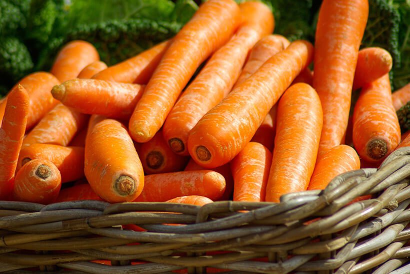 9 veganskih živil, ki naravno spodbujajo proizvodnjo kolagena v telesu