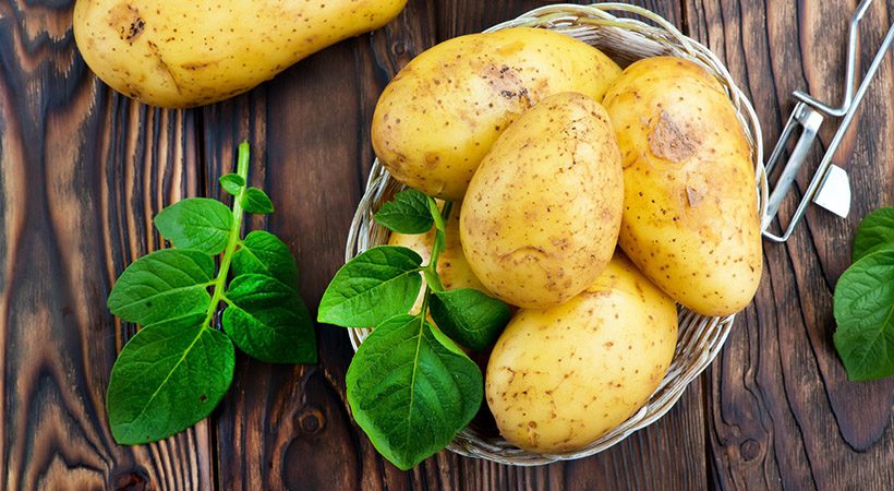 Je vzkaljeni krompir strupen?