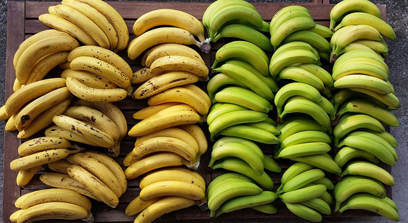 Kako dozoreti banano v 40-ih minutah