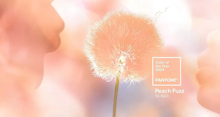 Pantone razglasil barvo leta 2024: Peach Fuzz - Modna.si