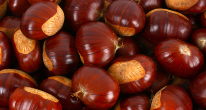 Kostanj: Skriti kralj jeseni, ki skriva več, kot si mislite - Modna.si